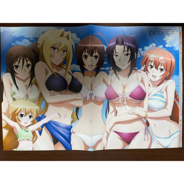 310. 魔法少女リリカルなのは(表)/セキレイ(裏) エンタメ/ホビーのアニメグッズ(ポスター)の商品写真