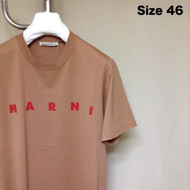 新品 46 20aw MARNI ロゴ Tシャツ ブラウン ベージュ 9886