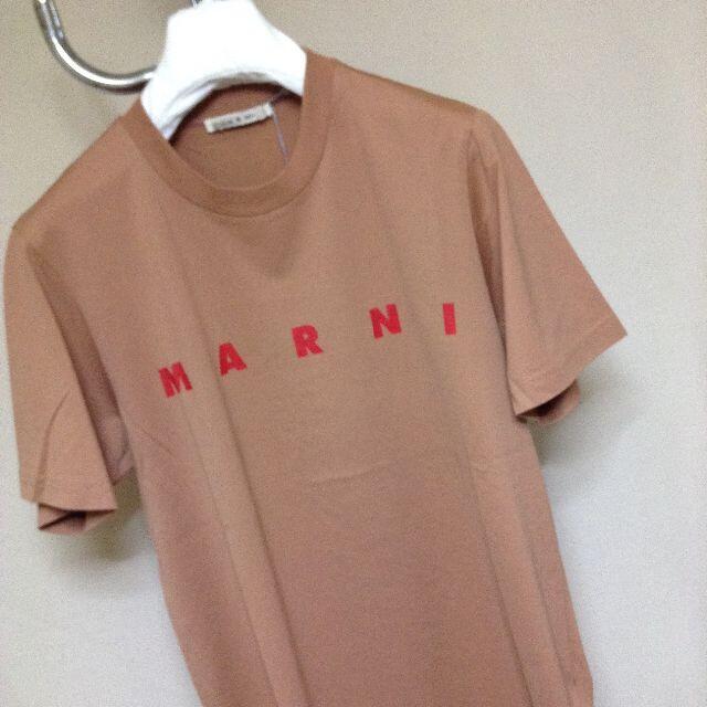 新品 46 20aw MARNI ロゴ Tシャツ ブラウン ベージュ 9886