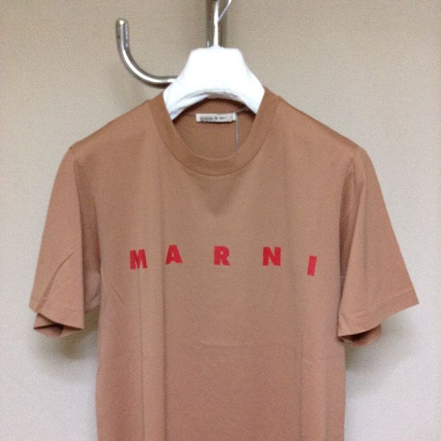 新品 46 20aw MARNI ロゴ Tシャツ ブラウン ベージュ 9886