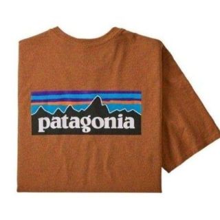 パタゴニア(patagonia)のMサイズ　パタゴニア tシャツ ロゴt P-6ロゴ レスポンシビリティー(Tシャツ/カットソー(半袖/袖なし))