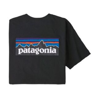 パタゴニア(patagonia)のXSサイズ　パタゴニア tシャツ ロゴt P-6ロゴ レスポンシビリティ(Tシャツ/カットソー(半袖/袖なし))