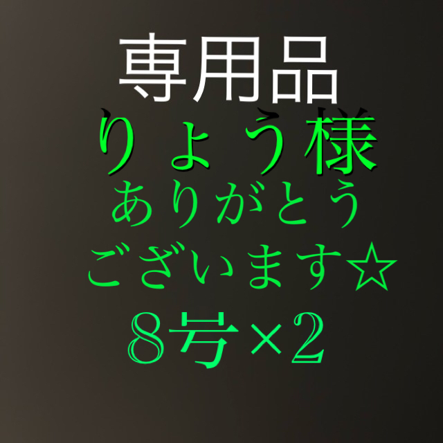 さびき 仕掛け針 2枚セット◉8号×2点 他より太く丈夫な糸 最安値  スポーツ/アウトドアのフィッシング(釣り糸/ライン)の商品写真