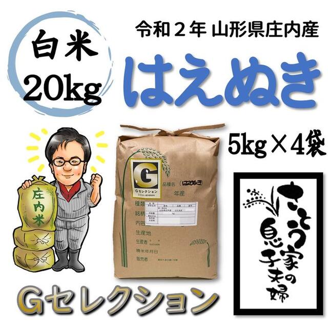 令和２年　山形県庄内産　はえぬき　白米２０ｋｇ　Ｇセレクションはえぬき産地