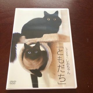 しゃべるねこ、しおちゃん　「ともだち」 猫DVD(趣味/実用)