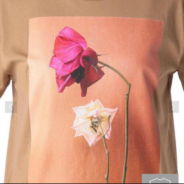 Drawer(ドゥロワー)のdrawer 別注 LISA KING FLOWER TEE  ブラミンク レディースのトップス(Tシャツ(半袖/袖なし))の商品写真