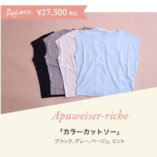 アプワイザーリッシェ(Apuweiser-riche)のアプワイザーリッシェノベルティ☆カラーカットソー(カットソー(半袖/袖なし))