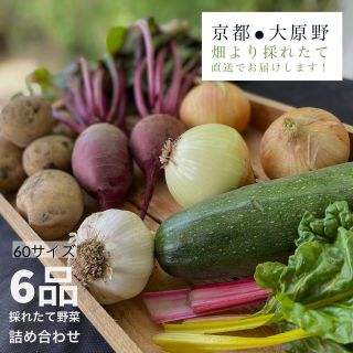 京都の山の麓で育ちました露地栽培野菜です！採れたてをお届け(野菜)