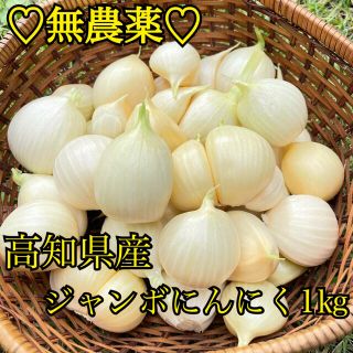 【無農薬】 無農薬 にんにく 国産 高知県産 ジャンボにんにく  1キロ バラ(野菜)