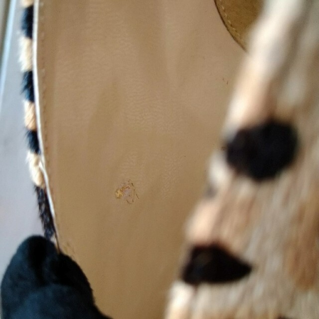 deicy(デイシー)のdeicy レオパード柄ハラコパンプス レディースの靴/シューズ(ハイヒール/パンプス)の商品写真