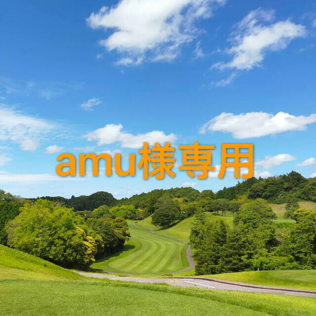 【正規品】 amu様専用 化粧水/ローション