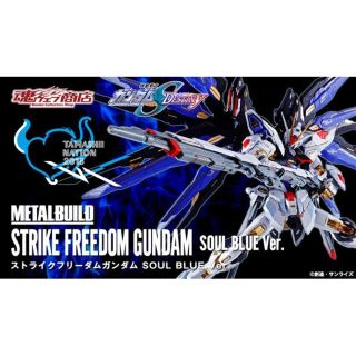 バンダイ(BANDAI)のMETAL BUILD 機動戦士ガンダムSEED DESTINY 2体セット(模型/プラモデル)