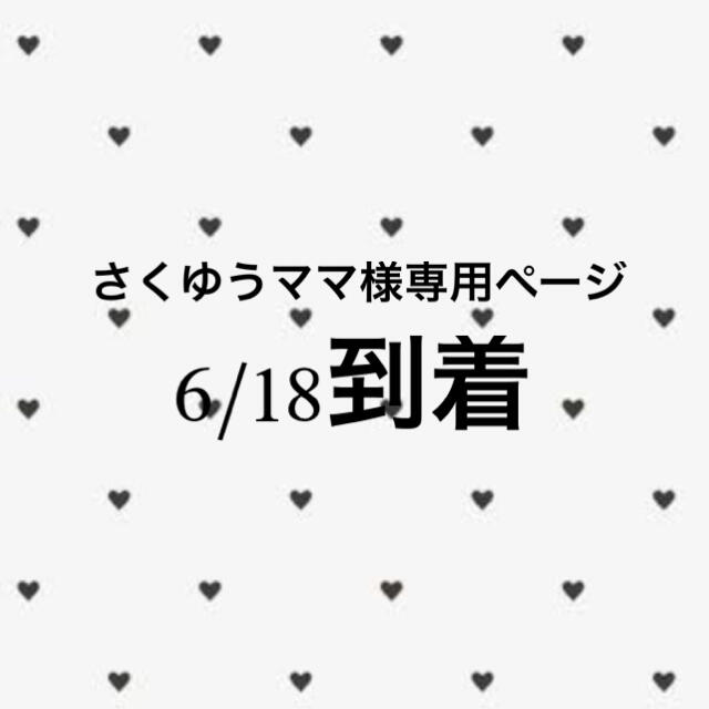 専用ページ その他のその他(その他)の商品写真