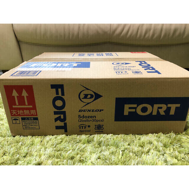 FORT(フォート) 硬式テニスボール ダンロップ 30缶60球 - ボール