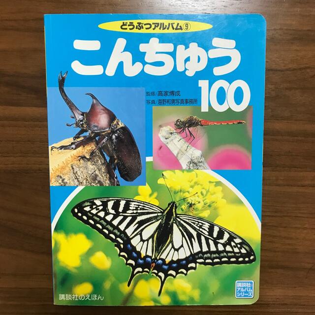 講談社(コウダンシャ)のこんちゅう100 エンタメ/ホビーの本(絵本/児童書)の商品写真