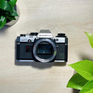 オリンパス(OLYMPUS)の✨初心者向け✨OLYMPUS OM10 ボディのみ シャッターok ジャンク品(フィルムカメラ)