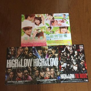 トゥエンティーフォーカラッツ(24karats)の植物図鑑 HiGH&LOW フライヤーセット(その他)