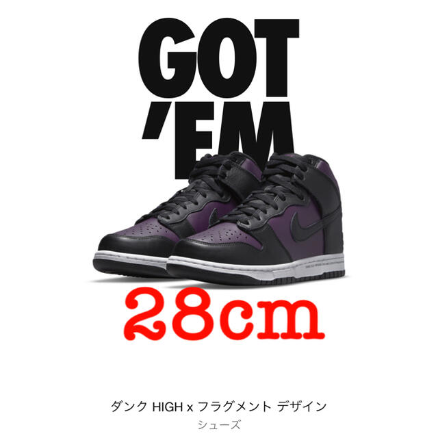 NIKE fragment 28cm  ナイキ　フラグメント　ダンクdunkメンズ