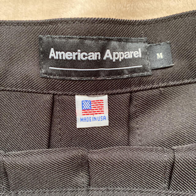 American Apparel(アメリカンアパレル)のAmerican Apparel の スカート レディースのスカート(ミニスカート)の商品写真