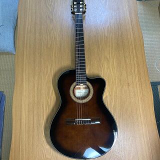 アイバニーズ(Ibanez)のアコースティックギター(アコースティックギター)