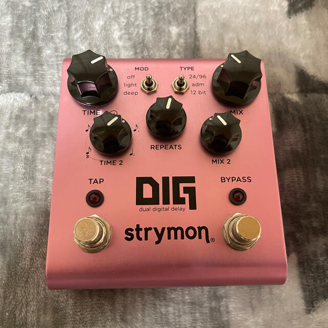 2021年5月購入　strymon DIG