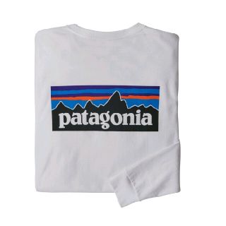 パタゴニア(patagonia)のSサイズパタゴニア ロングスリーブ　tシャツ  P-6ロゴ レスポンシビリティー(Tシャツ/カットソー(七分/長袖))