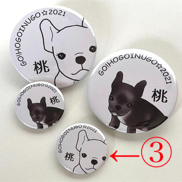 【保護犬GO】③白小　桃ちゃん応援缶バッジ ハンドメイドのハンドメイド その他(その他)の商品写真