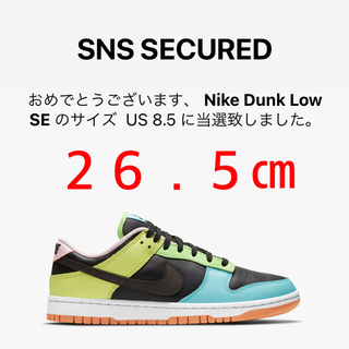 ナイキ(NIKE)の【sneaker geek様専用】ナイキ ダンク LOW Free.99(スニーカー)