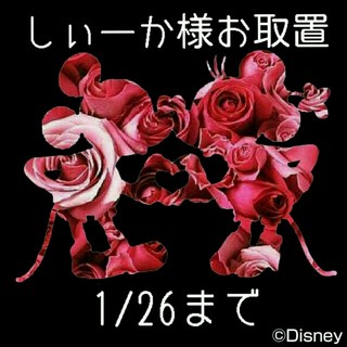 ディズニー(Disney)のしぃーか様専用☆(ショルダーバッグ)