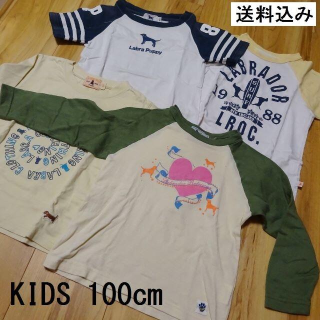 春夏４枚組 KIDS100cm ラブラドールレトリバー Ｌリトリーバー | フリマアプリ ラクマ