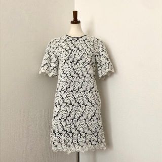 アーデム(Erdem)のアーデム・アリヤドレス・総レース・カットワーク・フラワー・ワンピース・ミニドレス(ミニワンピース)