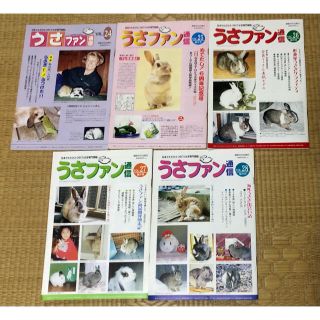 うさぎ本 うさファン通信 vol.24〜28 ワールドラビットファンクラブ 新品(趣味/スポーツ/実用)