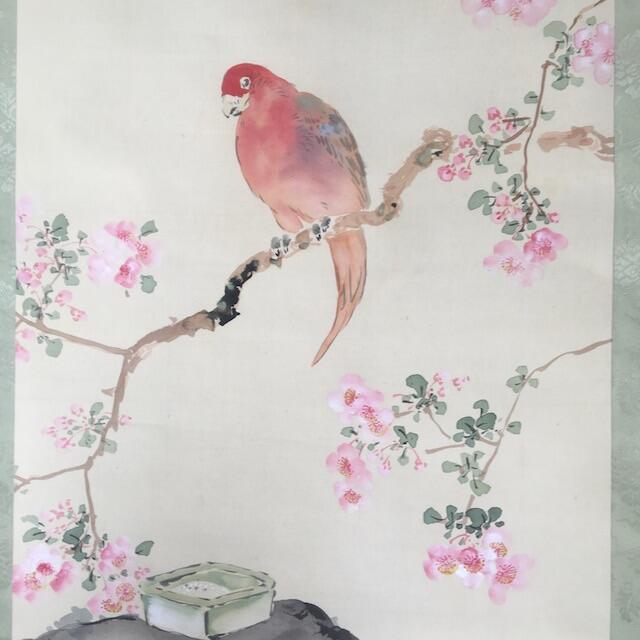 掛け軸 森山香浦 鳥図 桜 春 骨董 古美術 掛軸 インテリア