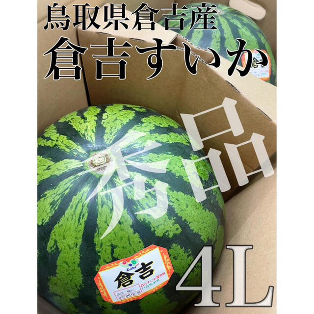 鳥取県倉吉産【鳥取西瓜】秀品　大玉4L 2玉 ※箱込み20kg以上！！ 食品/飲料/酒の食品(フルーツ)の商品写真