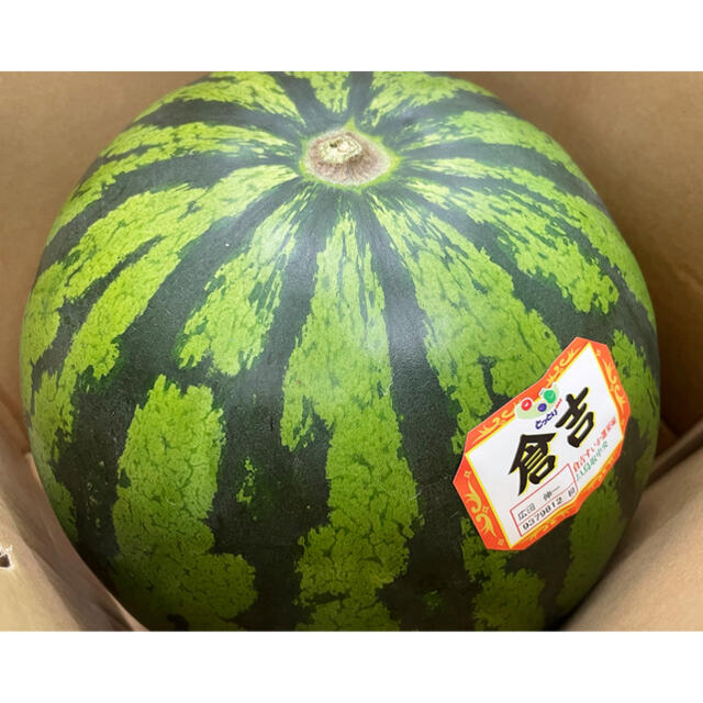 鳥取県倉吉産【鳥取西瓜】秀品　大玉4L 2玉 ※箱込み20kg以上！！ 食品/飲料/酒の食品(フルーツ)の商品写真