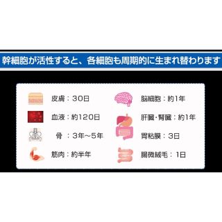 正規品ライフウェーブ アイスウェーブ：3セット6パッチ／送料込の通販 ...