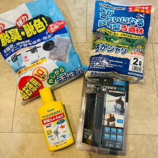 テトラ(Tetra)の熱帯魚　水槽　用品(アクアリウム)