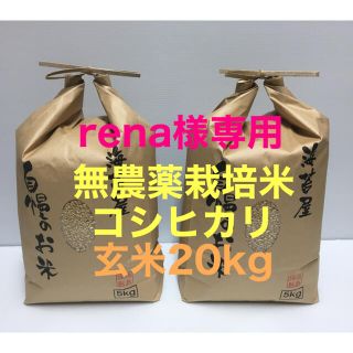 rena様専用 無農薬コシヒカリ玄米20kg、黒海苔1等級30枚 徳島県産(米/穀物)