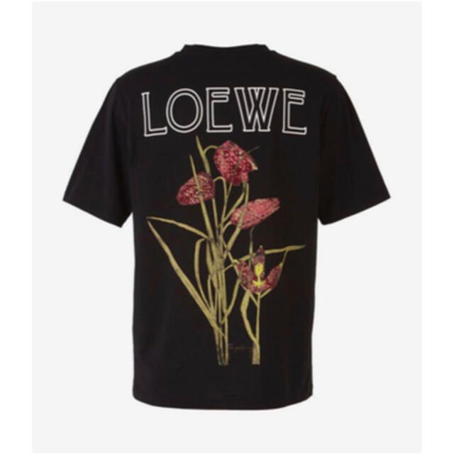 LOEWE ロゴTシャツ 男女兼用