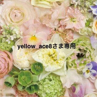 yellow_ace8さま専用ページ♡