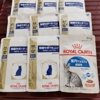 ロイヤルカナン(ROYAL CANIN)の腎臓サポートフィッシュ＆チャンクInグレーピー(ペットフード)