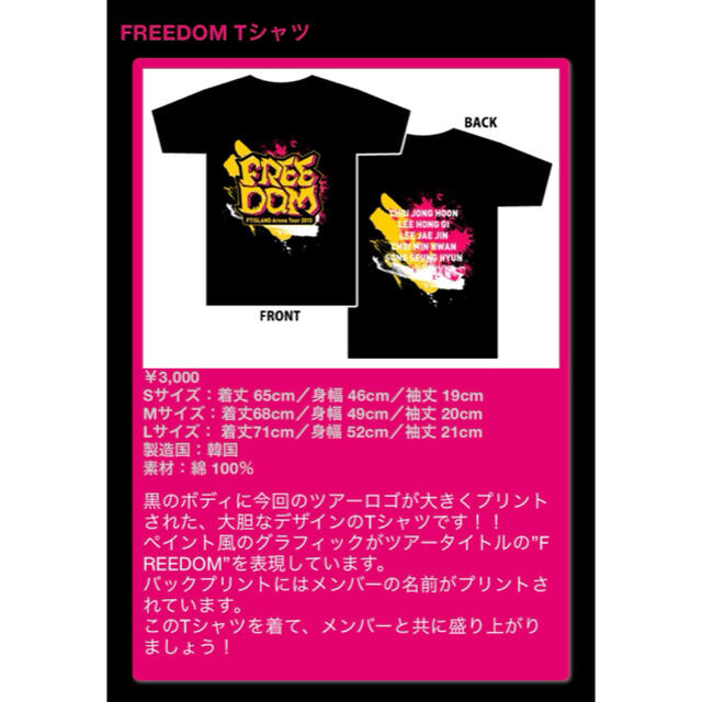 FTISLAND(エフティーアイランド)のFTISLAND ツアーTシャツ メンズのトップス(Tシャツ/カットソー(半袖/袖なし))の商品写真