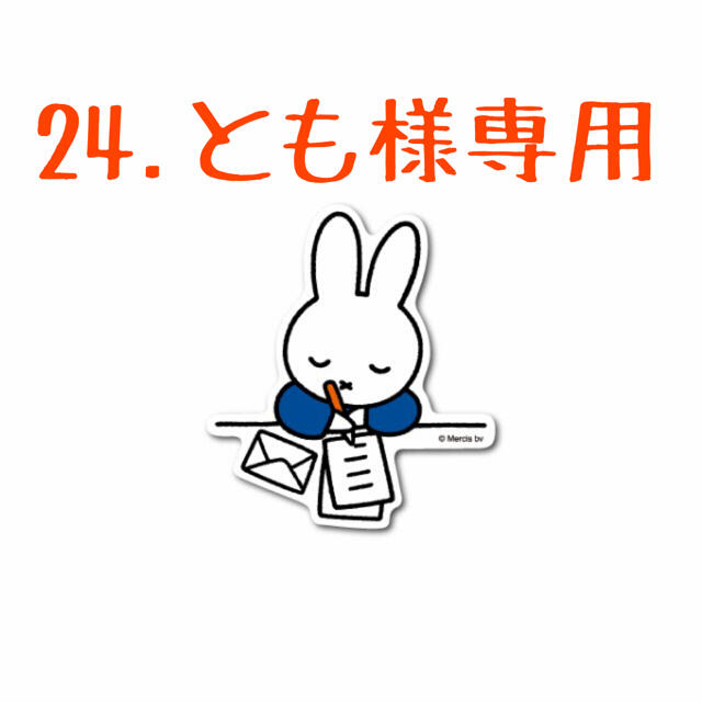 25.とも様専用❣️ 第3回🎉韓国多肉植物販売会❣️ ハンドメイドのフラワー/ガーデン(その他)の商品写真