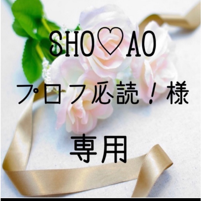 SHO♡AO プロフ必読！お米　令和２年　愛媛県産コシヒカリ　白米　10㎏
