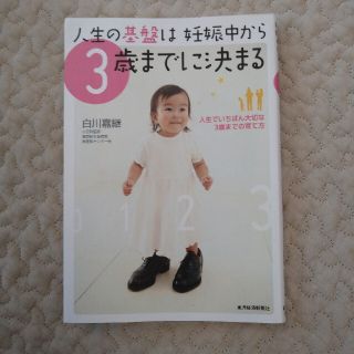 人生の基盤は妊娠中から３歳までに決まる 人生でいちばん大切な３歳までの育て方(結婚/出産/子育て)