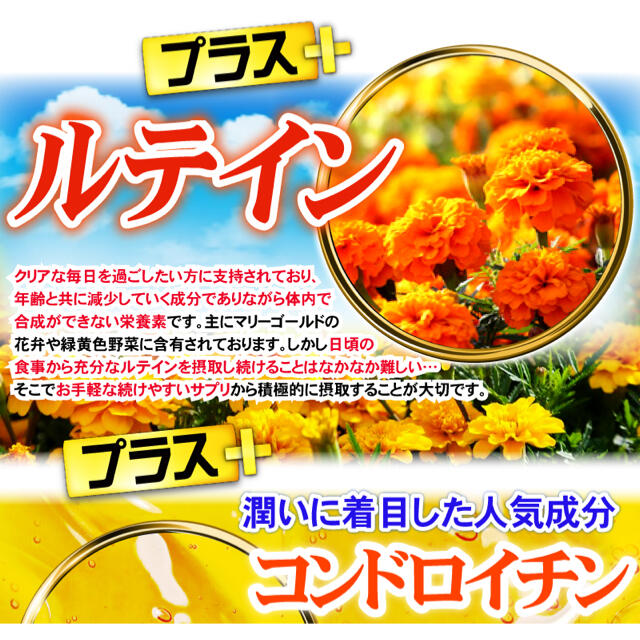 ビルベリー&ルテイン＋コンドロイチン●12ヶ月分●定価12,960円 食品/飲料/酒の健康食品(その他)の商品写真