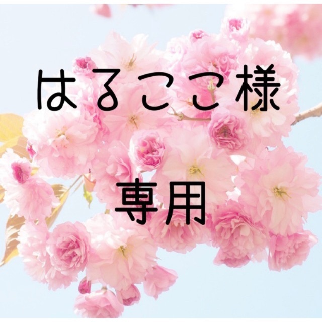 はるここ  お米　令和2年　愛媛県産松山三井　玄米　30㎏