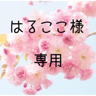 はるここ様専用  お米　令和2年　愛媛県産松山三井　玄米　30㎏(米/穀物)