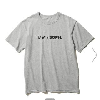 ソフ(SOPH)の1MW by SOPH グレーTシャツ(Tシャツ/カットソー(半袖/袖なし))