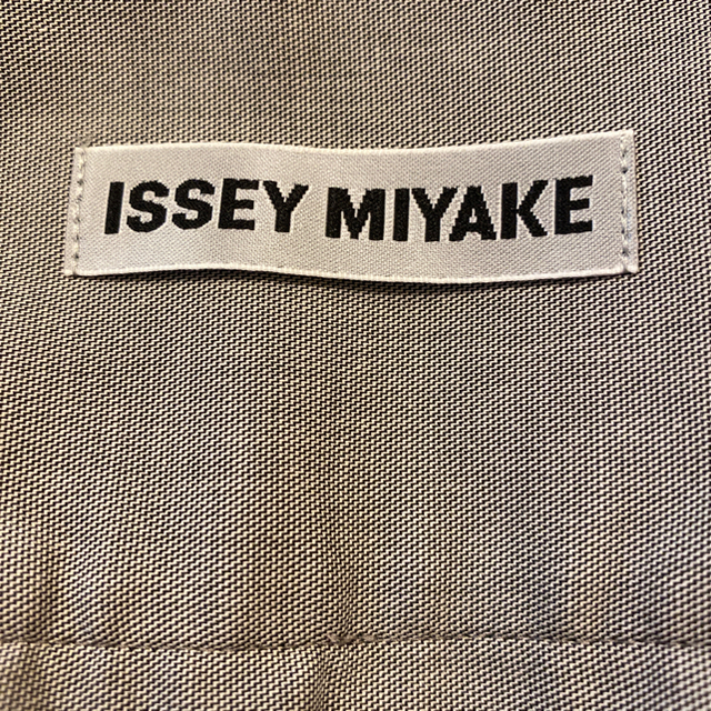 ISSEY MIYAKE(イッセイミヤケ)のイッセイミヤケ　デザインパンツ　極美品 レディースのパンツ(カジュアルパンツ)の商品写真